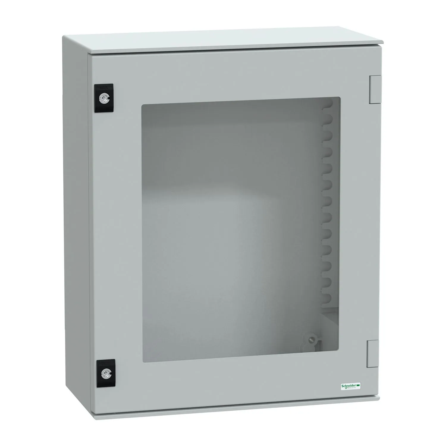 Contenitore a parete con portello Trasparente Schneider Electric in PET 530 x 430 x 200mm, col. Grigio, IP66