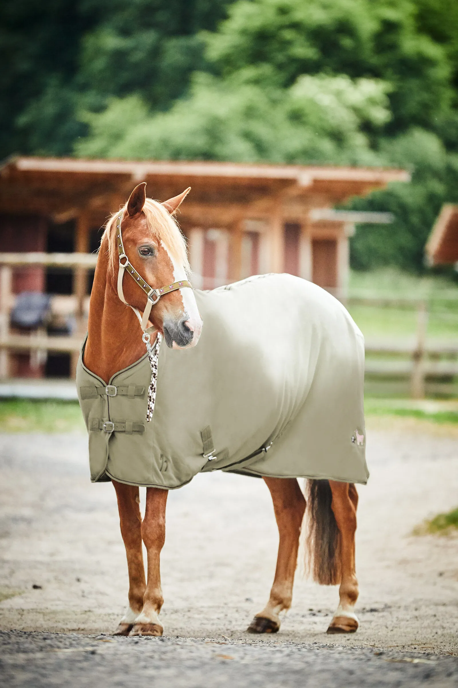 Horze Monster Coperta in pile per pony