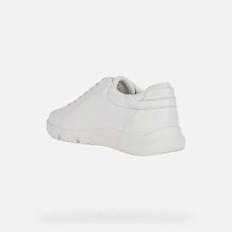 SCARPE DA UOMO ADACTER GEOX