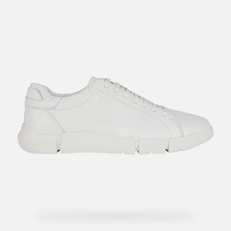 SCARPE DA UOMO ADACTER GEOX