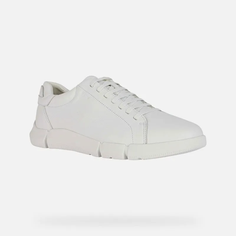 SCARPE DA UOMO ADACTER GEOX