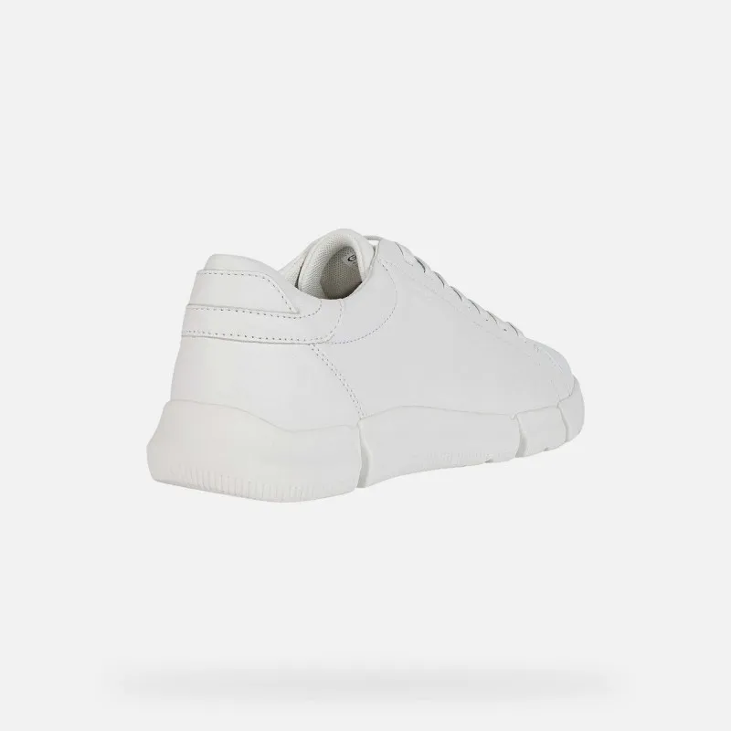 SCARPE DA UOMO ADACTER GEOX