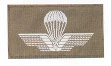 STEMMA BREVETTO PARA’ MILITARE